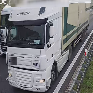 Jakie kategorie rozpoznaje AI?